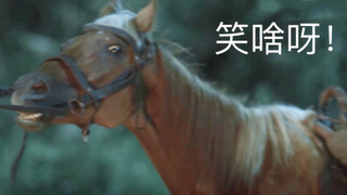 【雪中悍刀行】笑不活了…这马让我放下了心中怒火。按演技拿片酬，它的应该最高