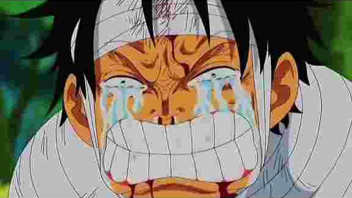 Luffy Suffered a lot.Onepiece.