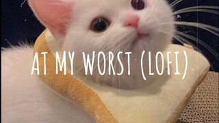 At My Worst (lofi) - Gustixa (Vietsub + Lyric)