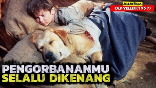 Pengorbanan Seekor Anjing Yang Dikenang Sepanjang Masa | Alur Cerita Film OLD YELLER (1957)