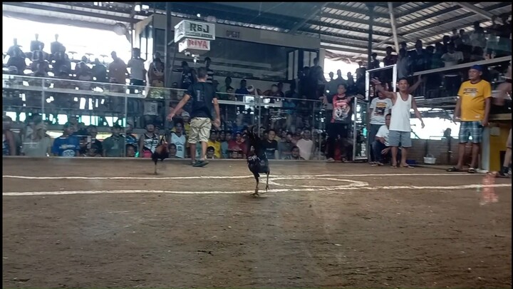 Bonecrusher/Gilmore win 2x