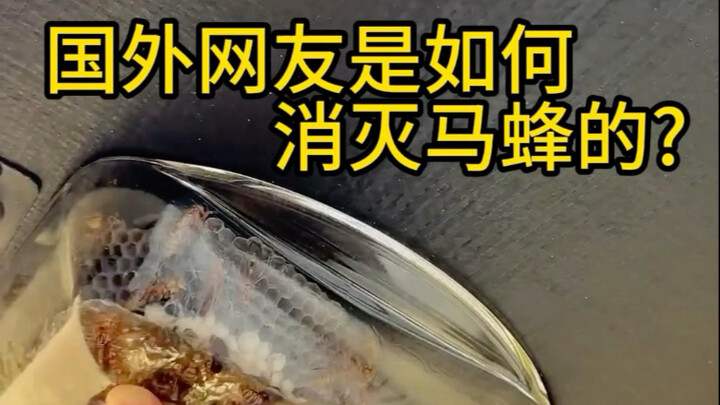 How do overseas netizens get rid of hornets?