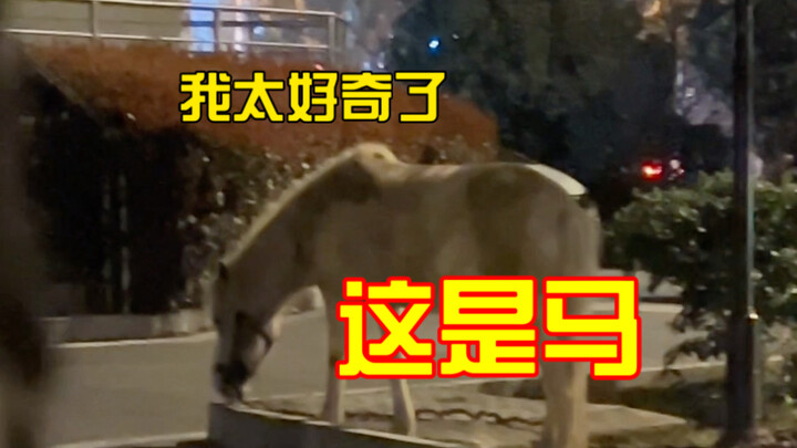 Lần đầu tiên hiểu ra rằng mình là một người hay nói.