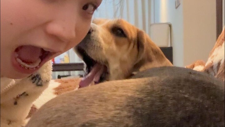 PP’s so cute—can I just sneak a bite? It’s not too much, right?