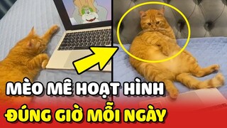 Chú mèo có sở thích XEM PHIM "Tom and Jerry" mỗi ngày 😂 | Yêu Lu