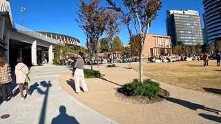 Harajuku to Aoyama Tokyo walking tour.【4K】11.2024