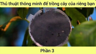 Thủ thuật thông minh để trồng cây của riêng bạn #3