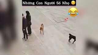 Những con người số nhọ😂