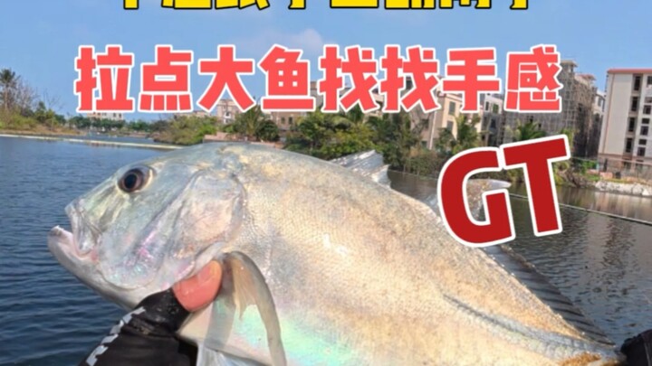 หาปลาตัวแข็งแรงสักตัวมาดึงหน่อย ให้ได้ความมั่นใจกลับคืนมา!