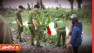 Rùng rợn xác chết dưới đám lục bình | Hành trình phá án 2020 | ANTV