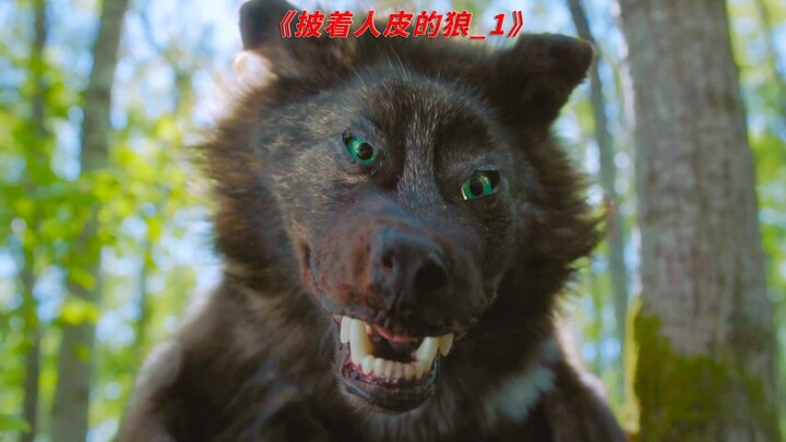 Serigala yang menyamar sebagai manusia justru berkembang pesat di dunia manusia!