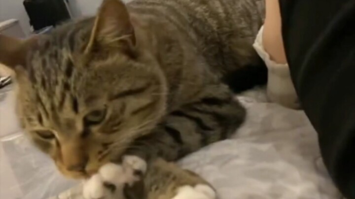 “It’s Ablaze!”