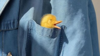 The Story of a "Bad Guy"