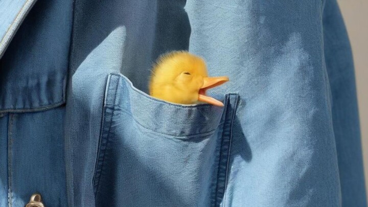 一个“坏蛋”的故事