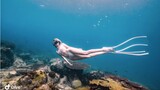 [Sports]Free Diving Near the Shipwreck in Sanya