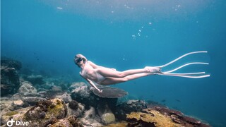 [Sports]Free Diving Near the Shipwreck in Sanya