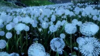 [AMV] แอนิเมชันสุดอลังการงานสร้าง ของจริงไม่จกตา