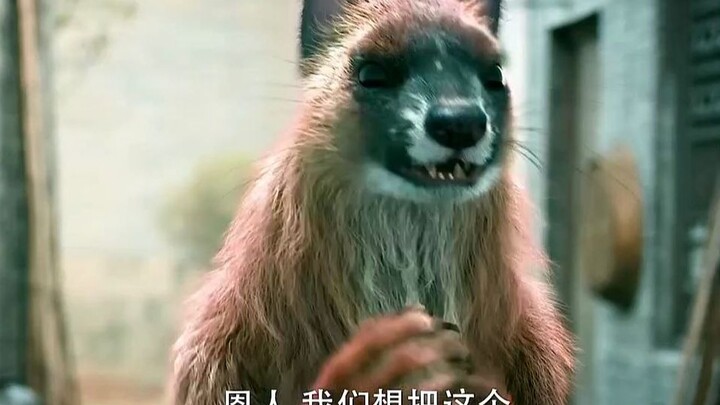 Vạn vật đều có linh hồn, chồn vàng ngoảnh lại không phải để trả ơn thì cũng là để trả thù.