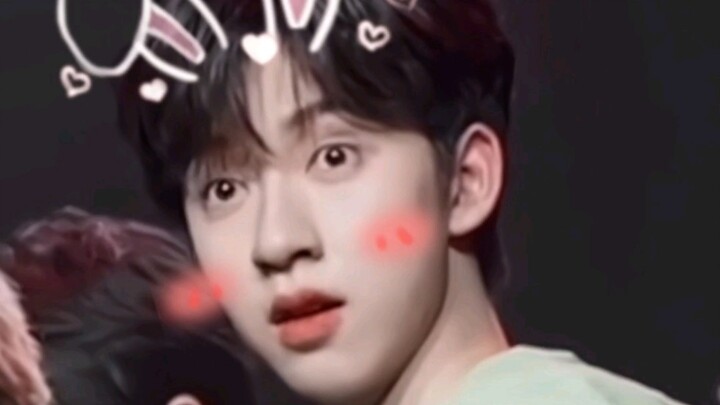 So what juicy gossip did He Junlin finally scoop last night during his livestream? The bunny with wi