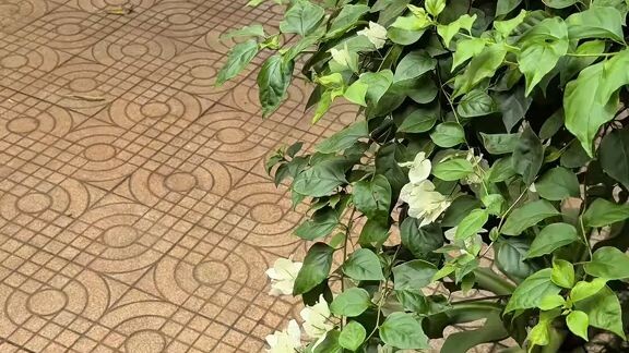 Membuka Usaha Rumahan 😍