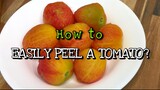 HOW TO EASILY PEEL A TOMATO | EASY WAY TO PEEL OFF THE SKIN OF TOMATO | Pepperhona’s Kitchen 👩🏻‍🍳