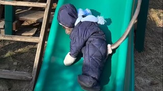 穿着衣服在公园玩的小猴子，乍一看还以为是个运动天赋爆表的小朋友