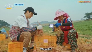 Fresh off the Sea Eps 10 [INDO SUB]