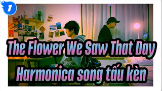Đóa hoa ngày ấy|Harmonica song tấu kèn_1