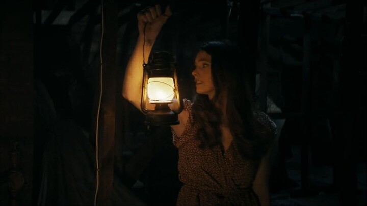 IT FEEDS  sub indo (horror)