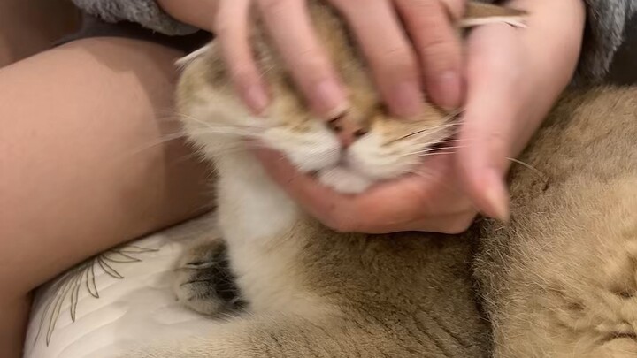 Let’s kick things off with some peanuts for everyone!