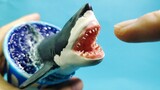 [DIY]How to Make a Model Shark in a Paper Cup