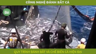 be2-4 - công nghệ đánh bắt cá hiện đại