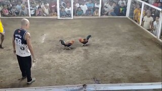 fastest kill