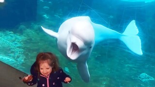 Kids And Animals At The Zoo 4 - Animals Funny Video | Pet Squad