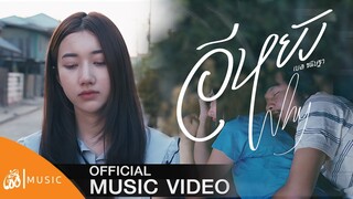 อีหยัง(Why) - ฐา ขนิษ : เซิ้ง|Music [Story จักรวาลไทบ้าน] 【Official MV】