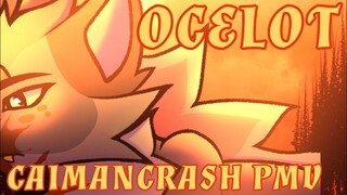 ocelot - gift PMV