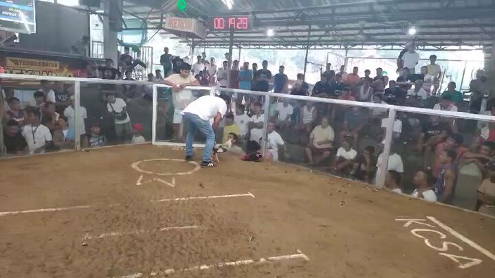 Joe dome in action # 2