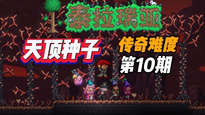 Episode 10: Dunia Zenith + Kesulitan Legendaris, Fokus Farming Setelah Tank. Ada BANYAK Sekali Tips 