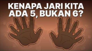 Kenapa Jari Kita Ada 5? Kenapa Gak 6?