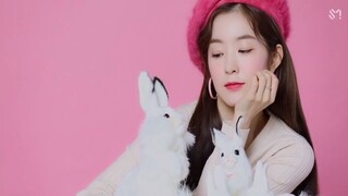 Red Velvet 2019 Season's Greetings (Making Of)