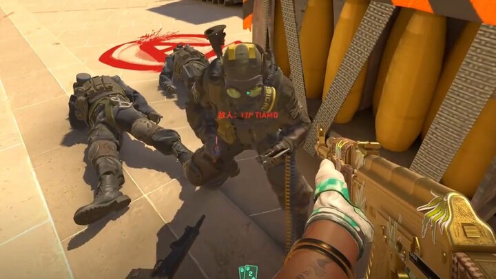 Crouching Dragon and Phoenix Chef