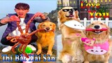 Dương KC | Gia Đình Gâu Đần #9 | Chó thông minh vui nhộn | funny cute smart dog pets | Thú Cưng TV
