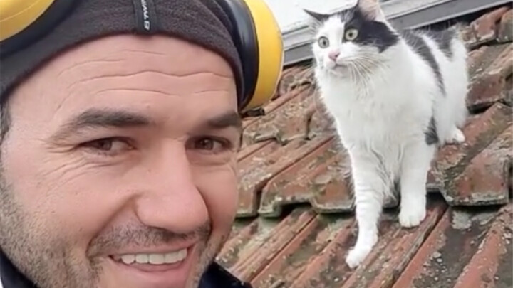 Cat: I didn’t check the lunar calendar before going out today—and ended up running into a dog!