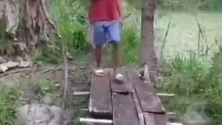 #Funny videos