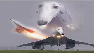 If you resist laughter for 15 sec, you win