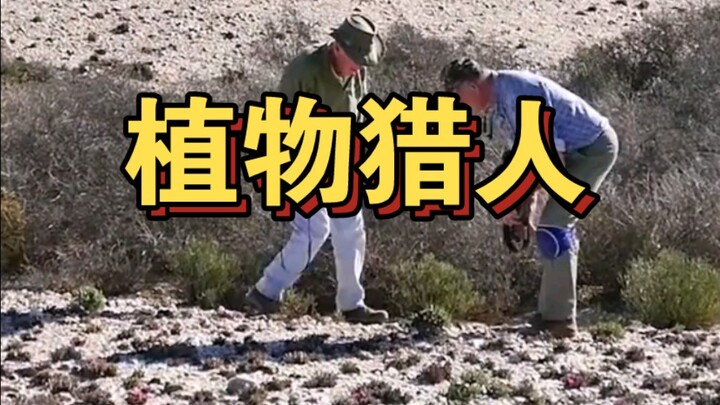 المهنة العالية: [صائد النباتات]