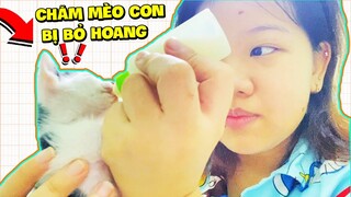 Mặp Doram VÀ 1 NGÀY CHĂM SÓC 2 EM MÈO BỊ BỎ HOANG