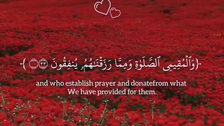 ISLAMIC NEW VIDEO 2026