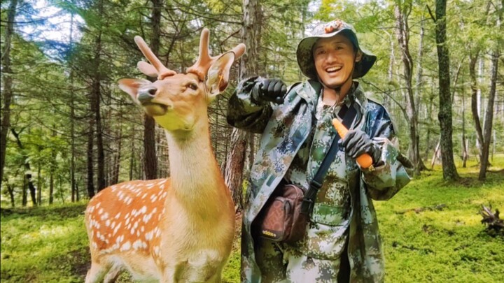 50万粉啦！鹿乃子乃子虎视眈眈送给你们