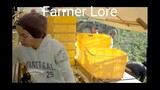 Farmer Lore